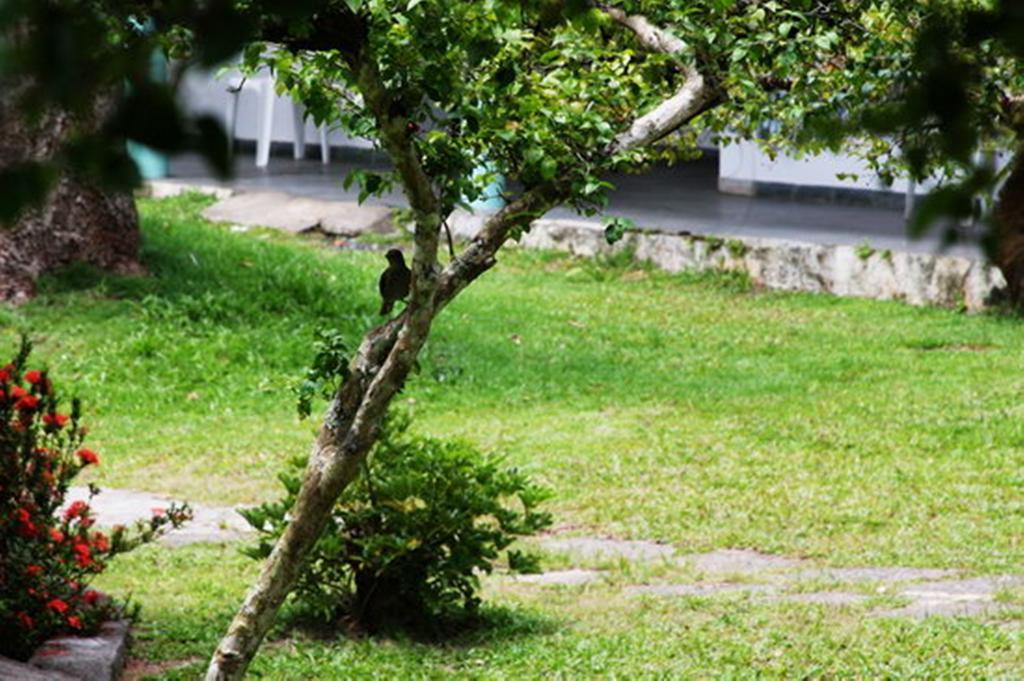 Pousada Sitio Paraiso Itacaré Dış mekan fotoğraf