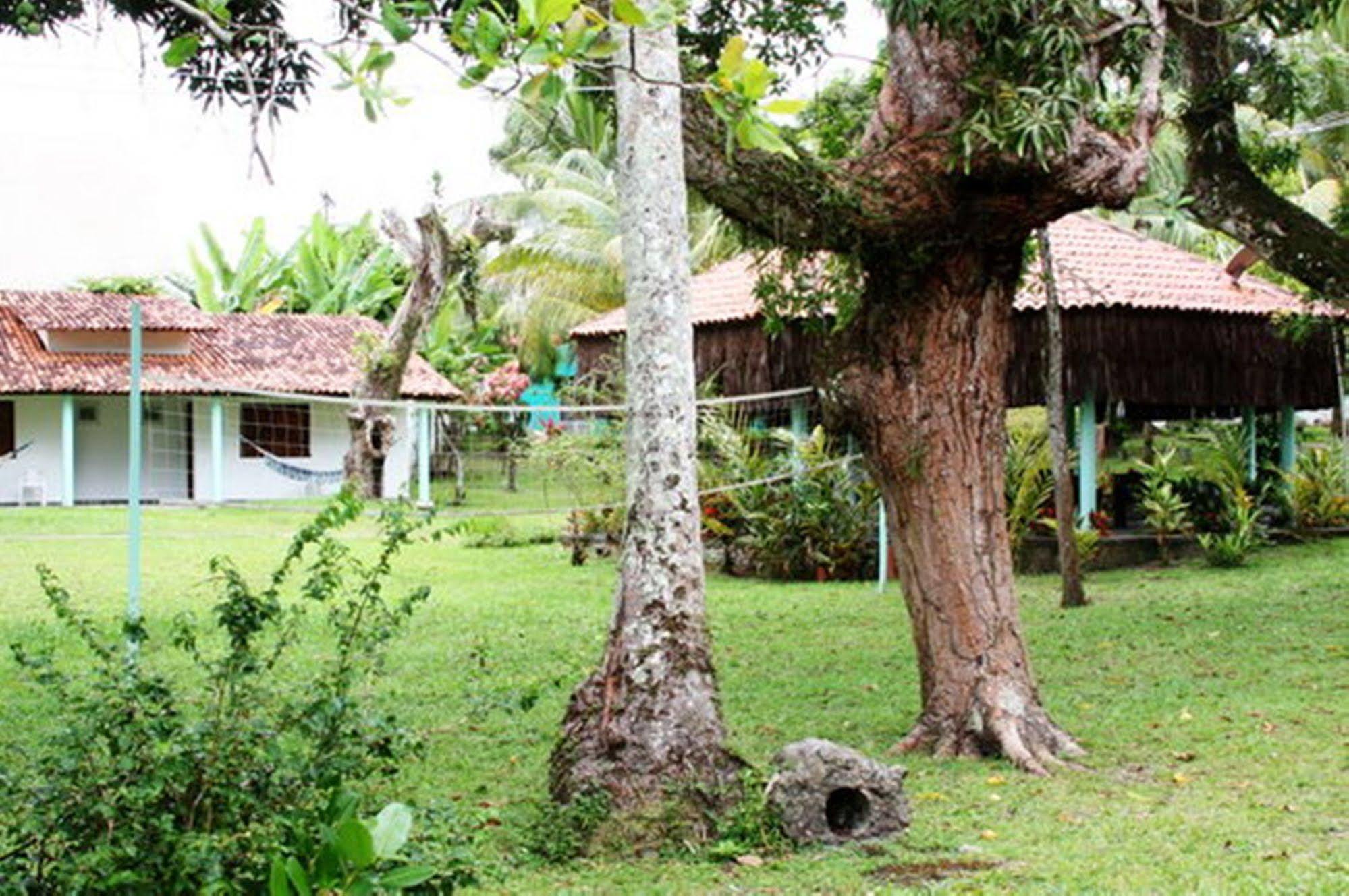 Pousada Sitio Paraiso Itacaré Dış mekan fotoğraf